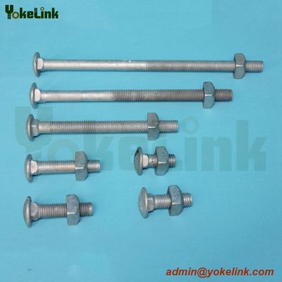 Carriage Bolt
